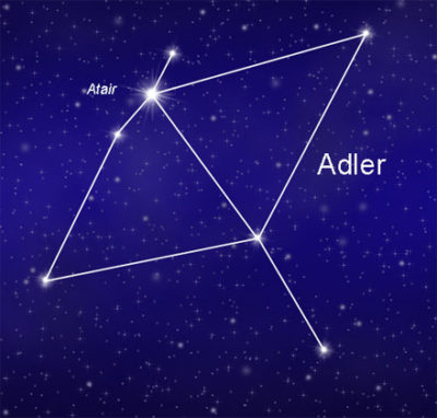 adler Sternbild Adler