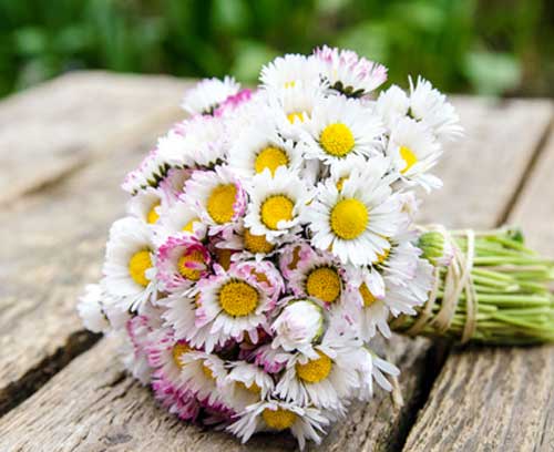 blumen-zum-namenstag Blumen zum Namenstag